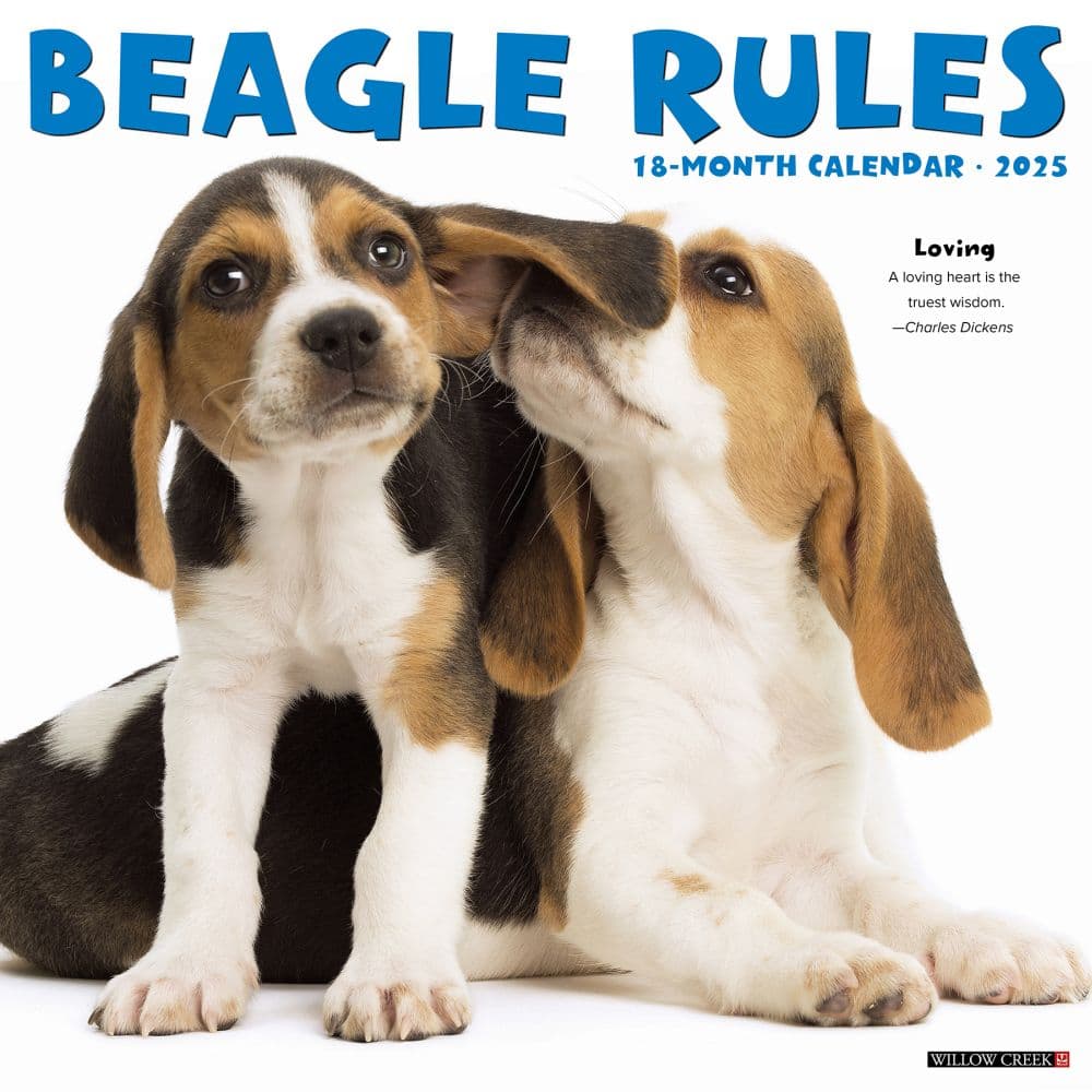 Beagle Rules 2025 Wall Calendar Main Image