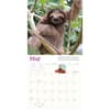 image Sloths 2027 Wall Calendar Third Alternate Image
