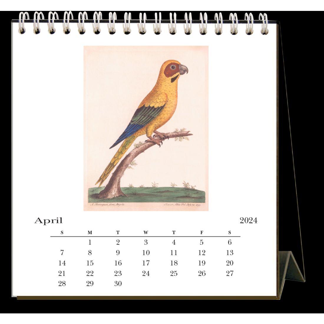 Parrots 2024 Easel Desk Calendar