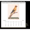 image Parrots 2024 Easel Desk Calendar Second Alternate Image width=&quot;1000&quot; height=&quot;1000&quot;