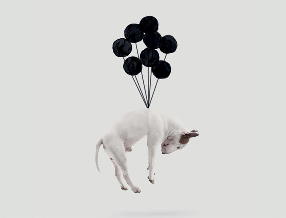 Jimmy The Bull Balloon Boxed Note Cards