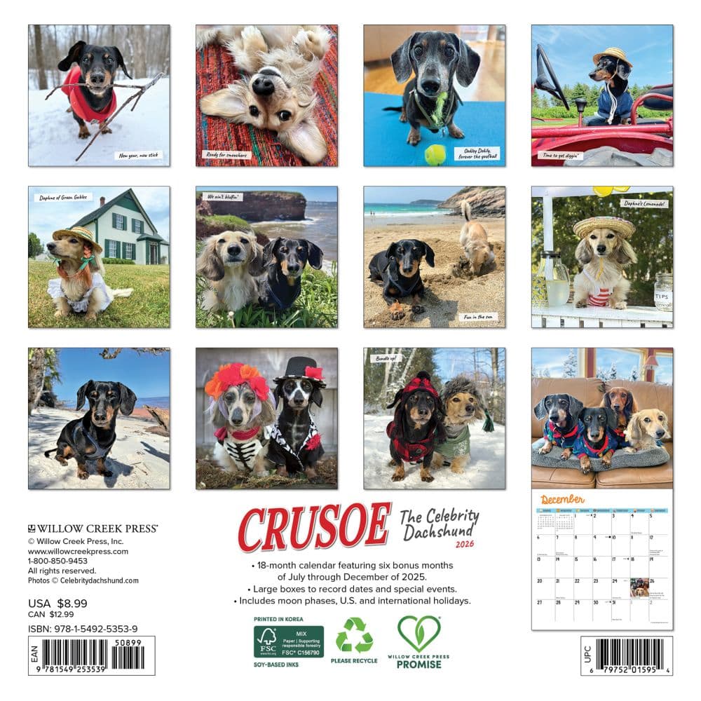 Crusoe the Celebrity Dachshund 2026 Mini Wall Calendar First Alternate Image