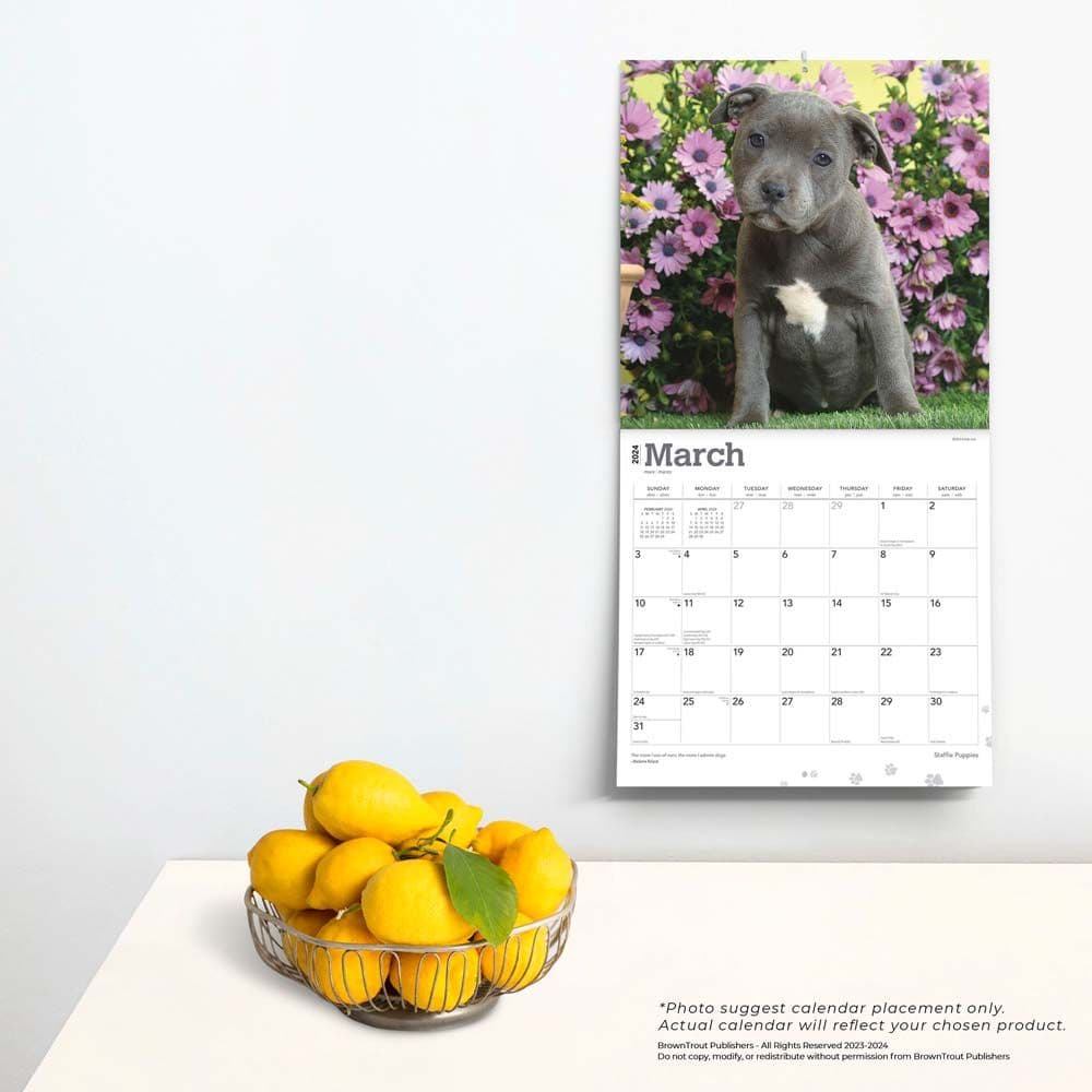 Staffordshire Bull Terrier Puppies 2024 Wall Calendar Third Alternate Image width=&quot;1000&quot; height=&quot;1000&quot;