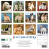 image English Setters 2025 Wall Calendar First Alternate Image width=&quot;1000&quot; height=&quot;1000&quot;