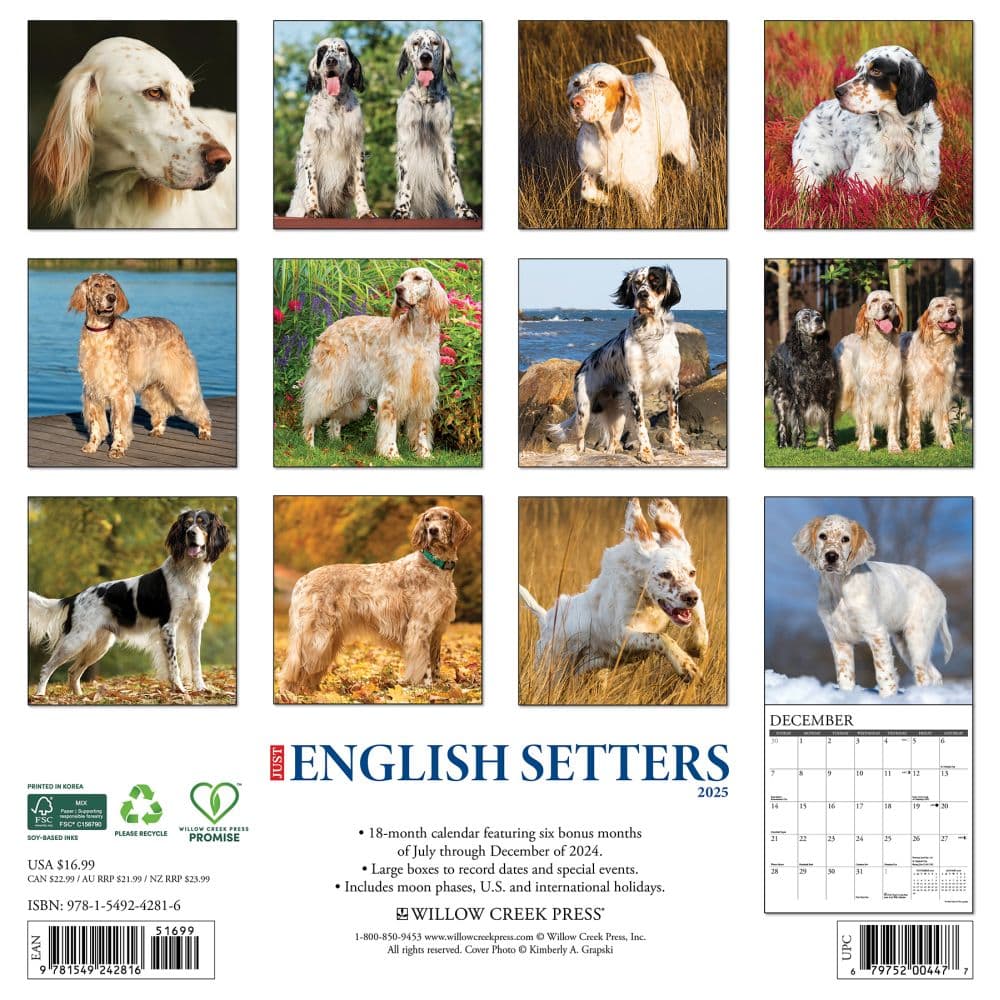 English Setters 2025 Wall Calendar First Alternate Image width=&quot;1000&quot; height=&quot;1000&quot;