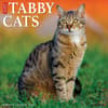image Tabby Cats 2026 Wall Calendar Main Image