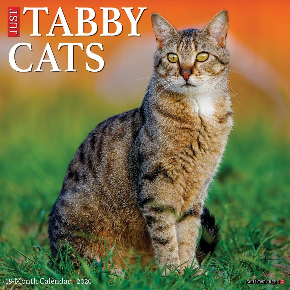 Tabby Cats 2026 Wall Calendar Main Image