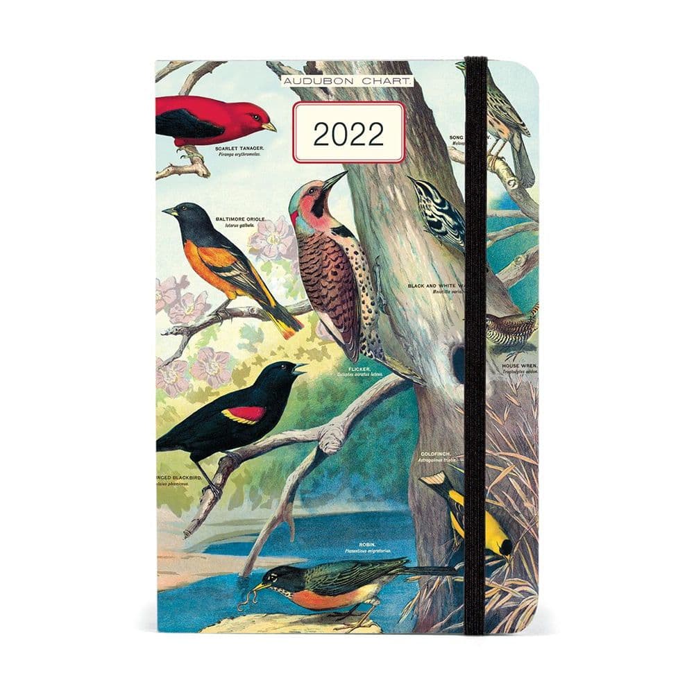 Audubon Christmas Cards 2022 Audubon Birds 2022 Weekly Planner