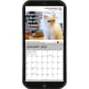 image Cat Chat 2025 Wall Calendar