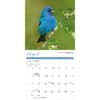 image Songbirds 2026 Mini Wall Calendar Third Alternate Image