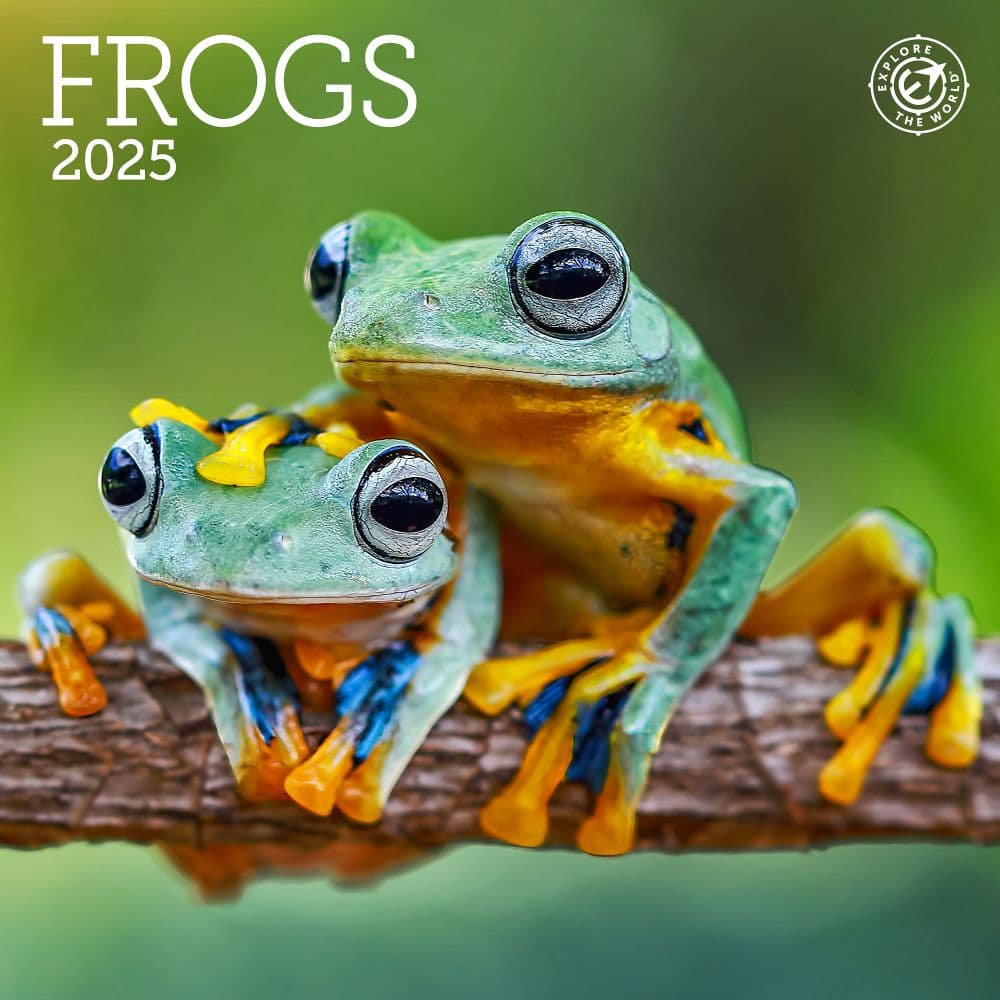image Frogs 2025 Mini Wall Calendar_Main Image