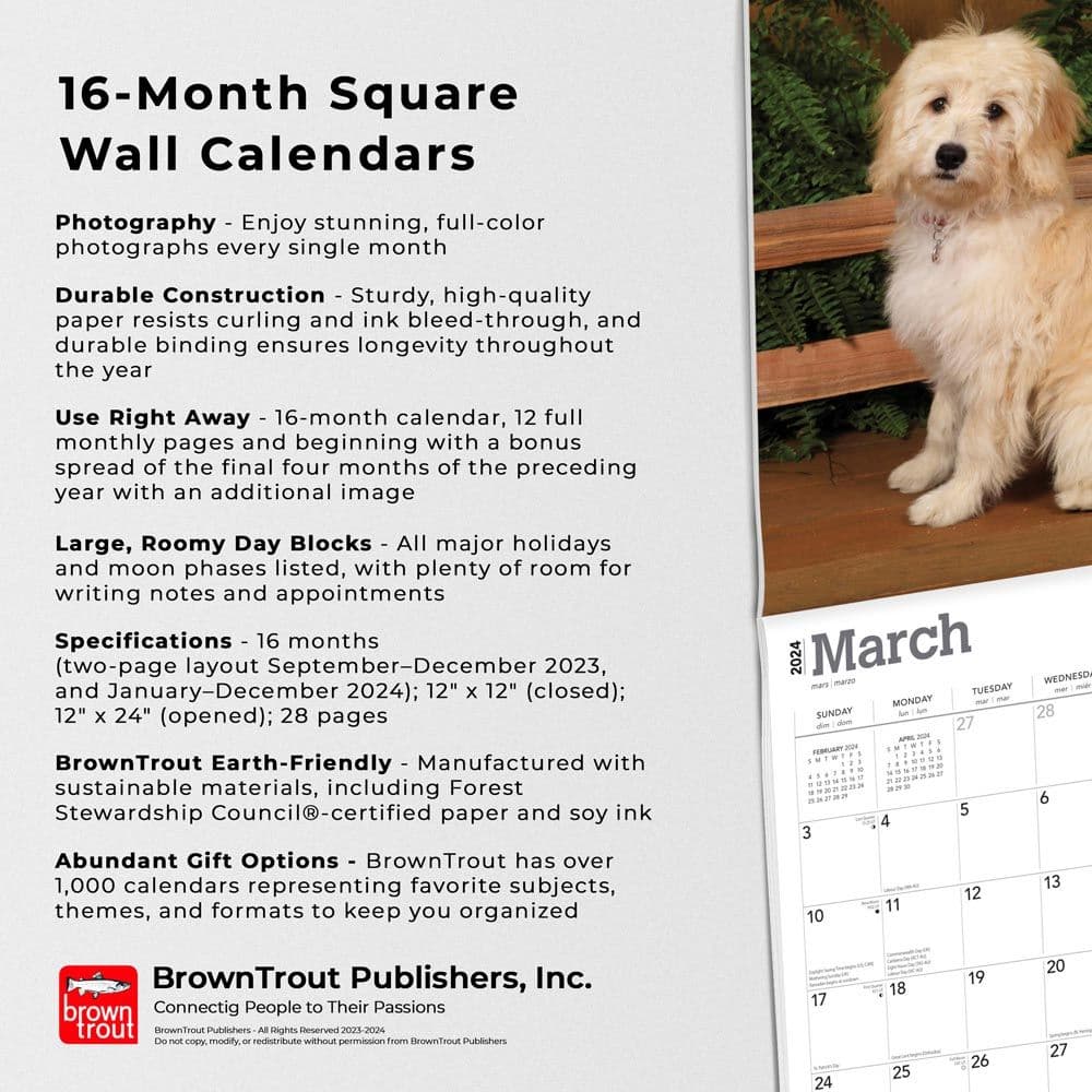 Goldendoodles 2024 Wall Calendar