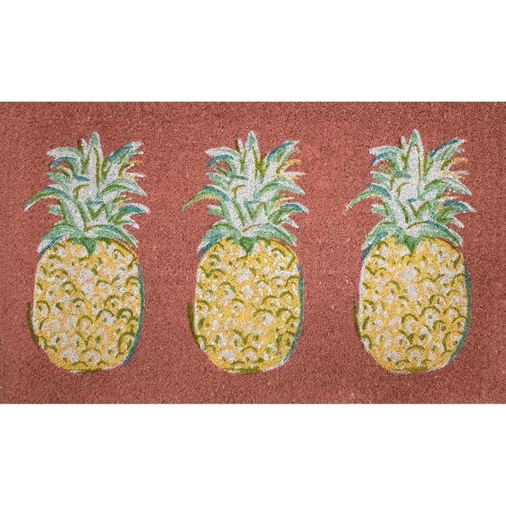 Pineapple Paradise Small Coir Doormat by Chad Barrett Main Image