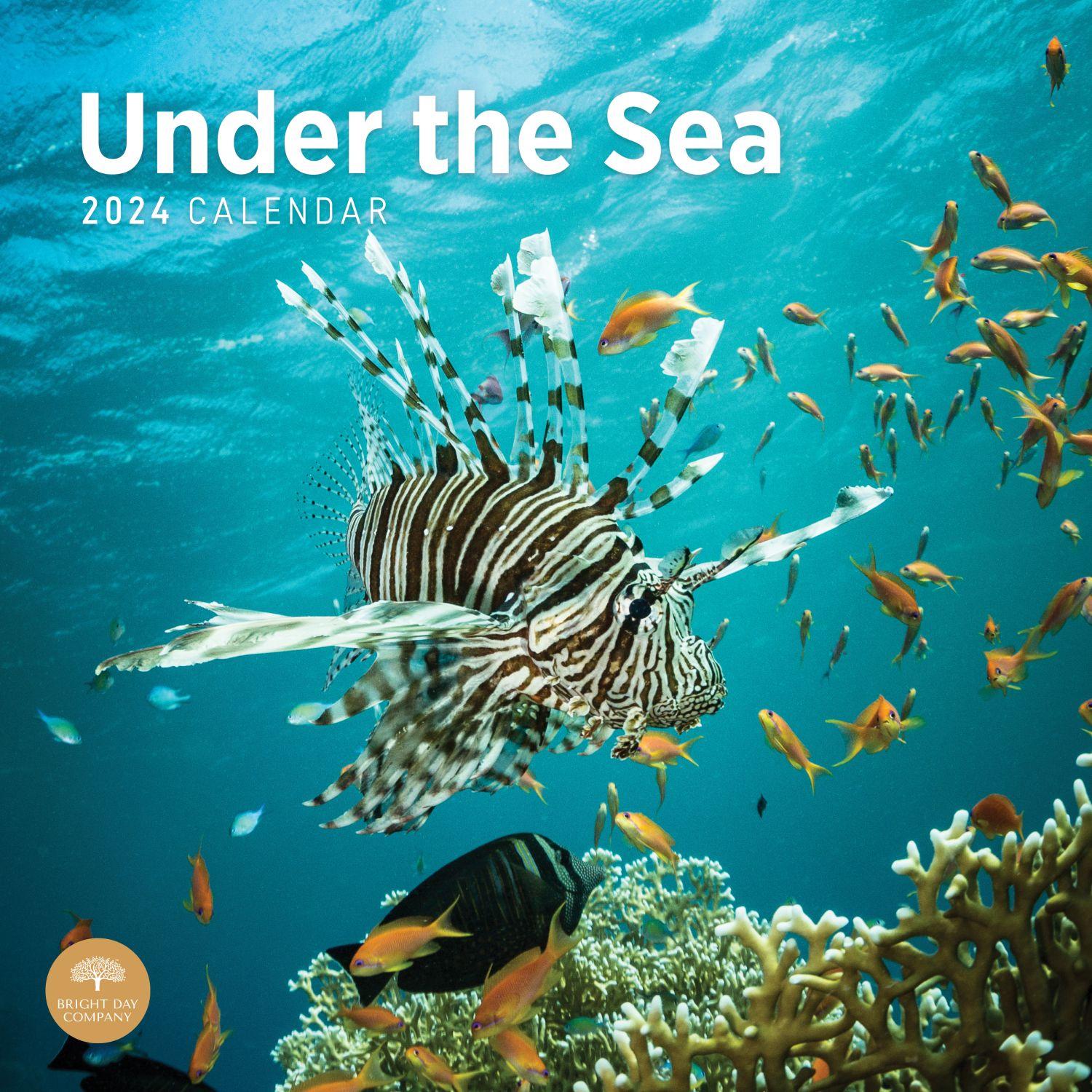 Under the Sea 2025 Wall Calendar