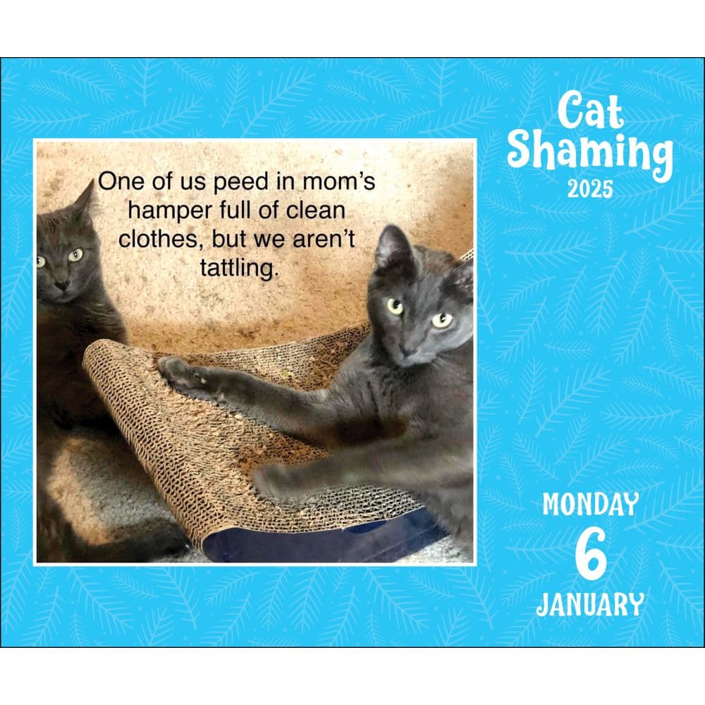 Cat Shaming 2025 Desk Calendar First Alternate Image