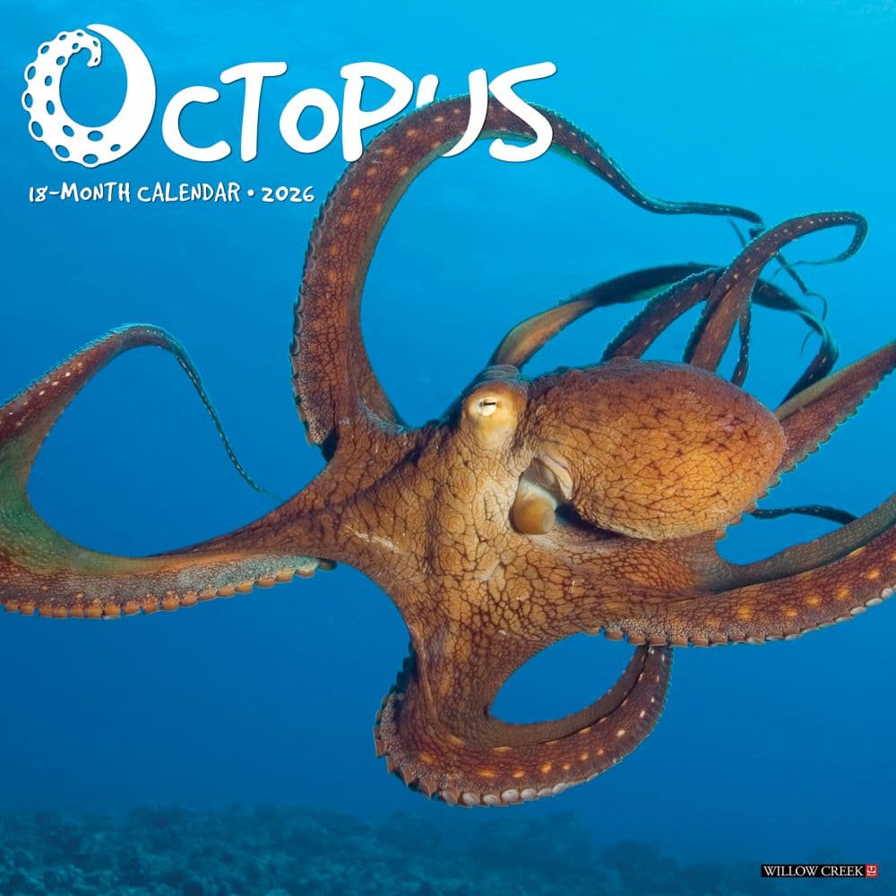 Octopus 2026 Wall Calendar Main Image