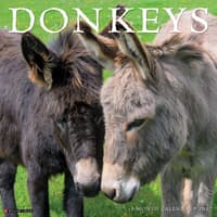 image Donkeys 2027 Wall Calendar Main Product Image