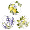 image Lemon Grove Trinket Dish Set Of 3 Main Image