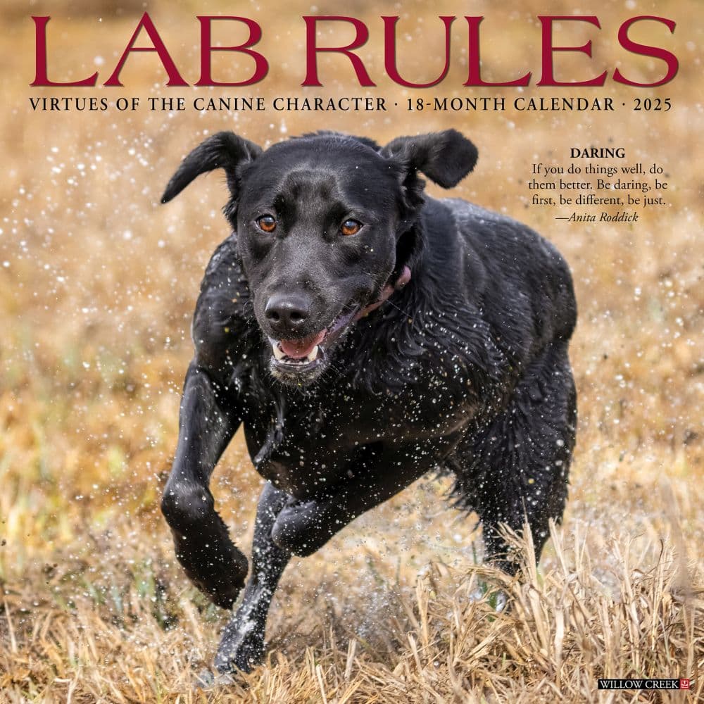 Lab Rules 2025 Wall Calendar