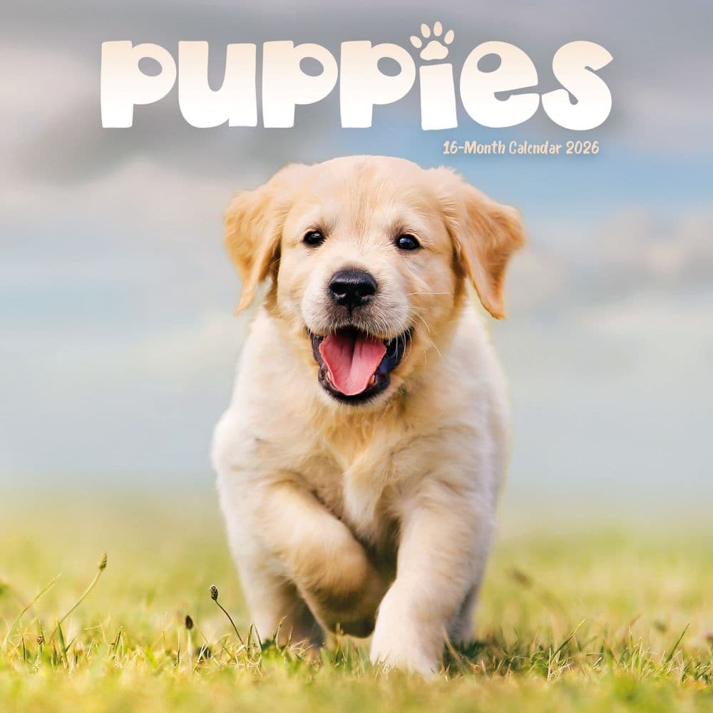 Puppies 2026 Mini Wall Calendar Main Image