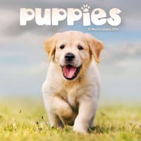 image Puppies 2026 Mini Wall Calendar Main Image