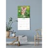 image What the F*ck Kitty? 2024 Wall Calendar Fifth Alternate Image width=&quot;1000&quot; height=&quot;1000&quot;