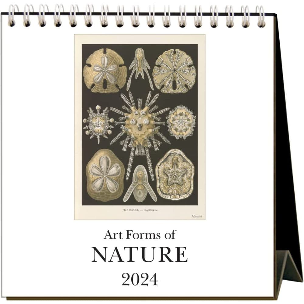 Art Forms of Nature 2024 Easel Calendar Main