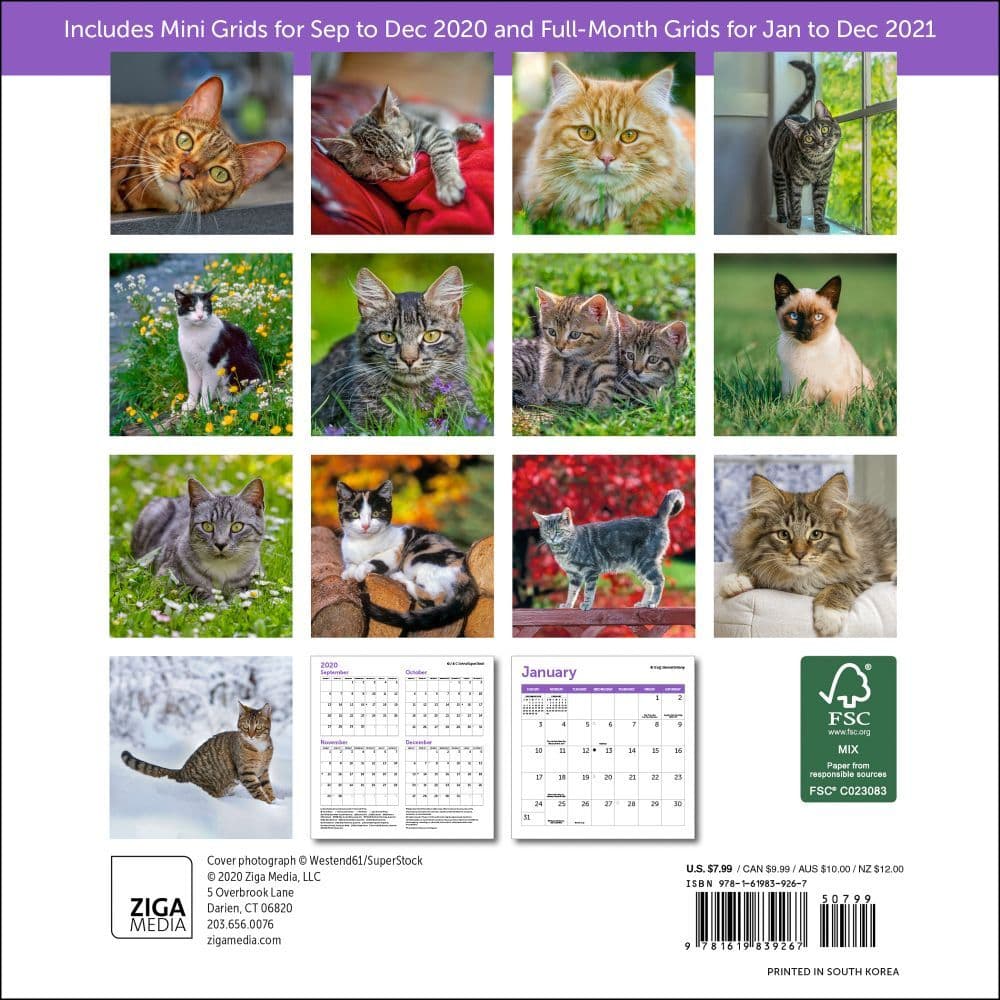 Cats Mini Wall Calendar - Calendars.com