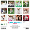 image Jack Russell Puppies 2026 Wall Calendar First Alternate Image