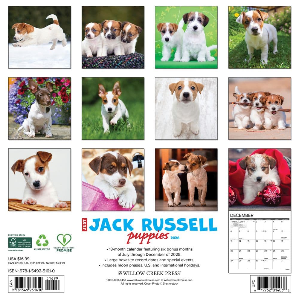 Jack Russell Puppies 2026 Wall Calendar First Alternate Image