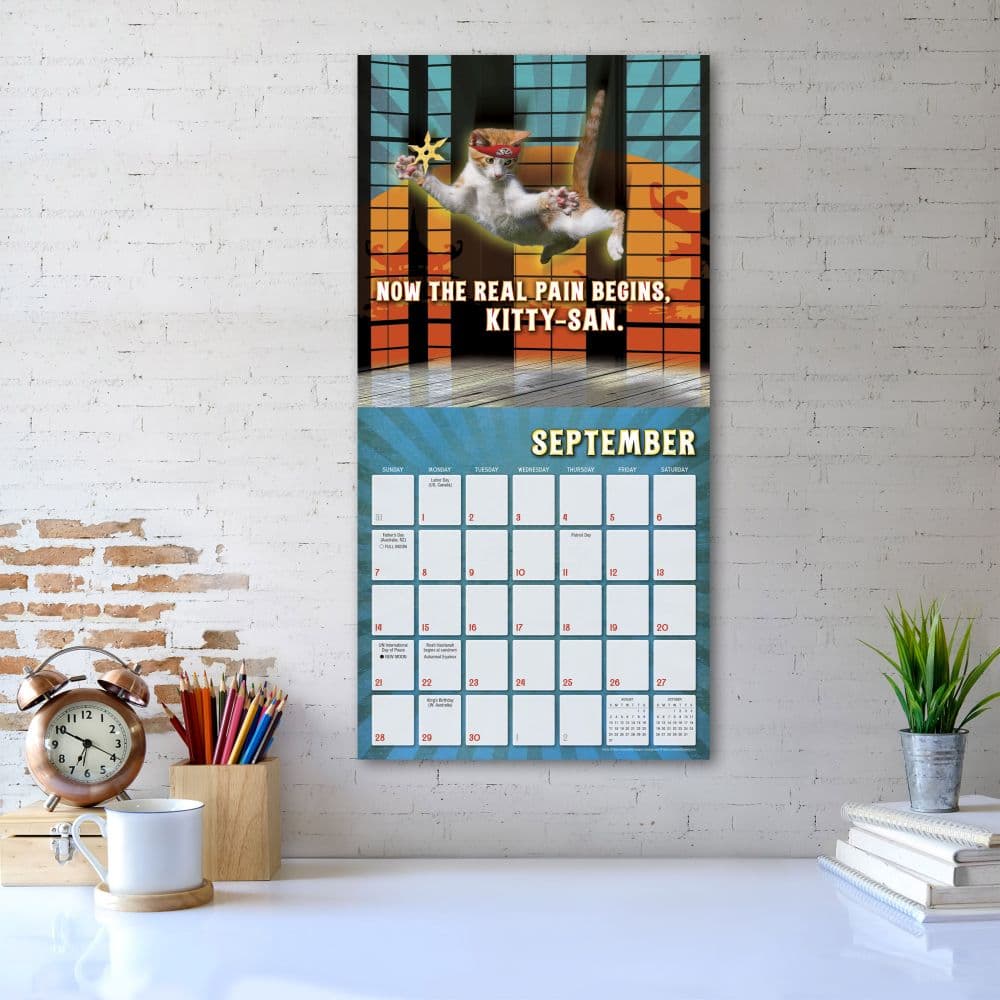 Karate Kat 2025 Wall Calendar Fourth Alternate Image width=&quot;1000&quot; height=&quot;1000&quot;