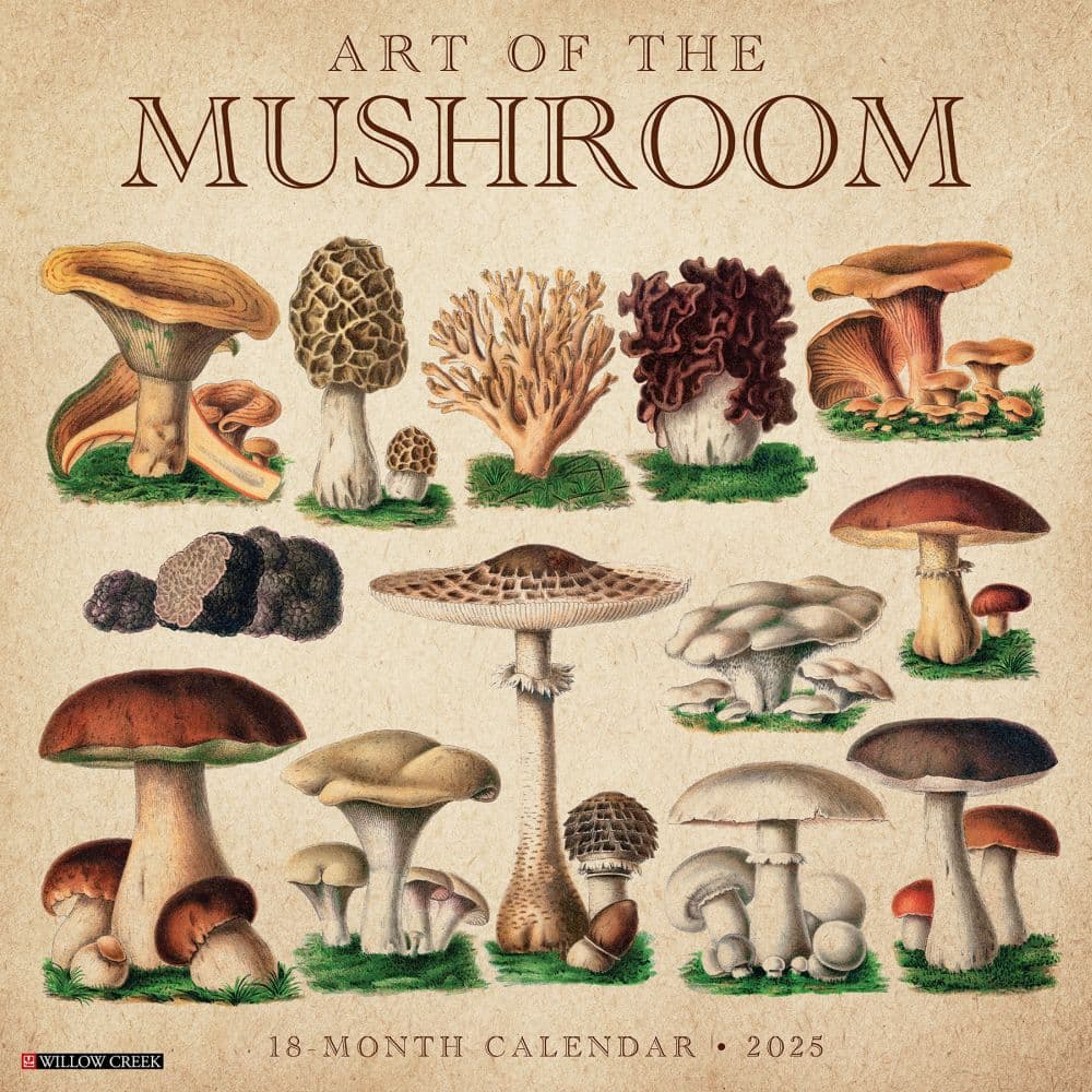 image Art of the Mushroom 2025 Wall Calendar Main Image