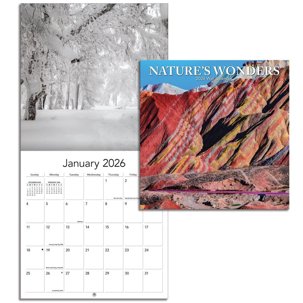 Wild and Wonderful Weather 2026 Mini Wall Calendar_ALT4