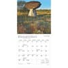 image America 2025 Mini Wall Calendar