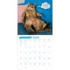 image Chonkers 2026 Wall Calendar Fourth Alternate Image