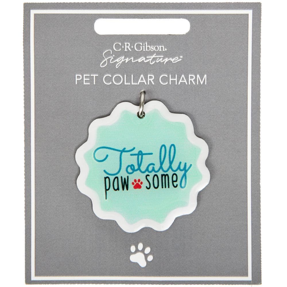 Totally Pawsome Dog Collar Charm Alternate Image 2