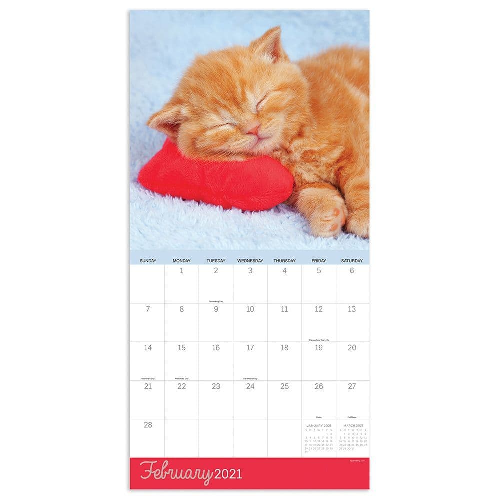2021 Cat Dreams 12"x12" Wall Calendar