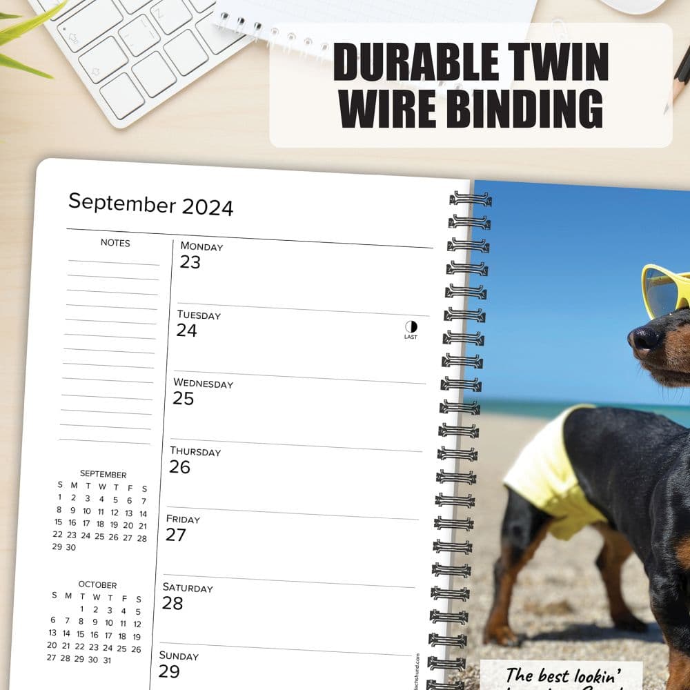 Crusoe Celebrity Dachshund 2024 Engagement Planner