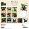 image Rottweilers 2027 Wall Calendar First Alternate Image