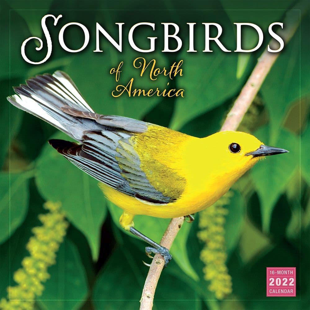 Songbirds of North America 2022 Wall Calendar