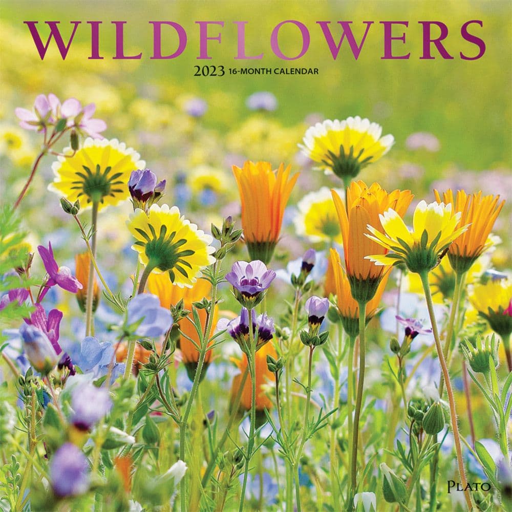 Wildflowers 2023 Wall - Calendars.com