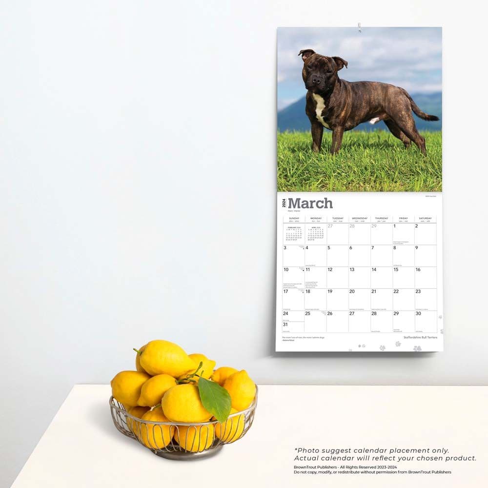 Staffordshire Bull Terriers 2024 Wall Calendar