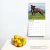 image Staffordshire Bull Terriers 2024 Wall Calendar Third Alternate Image width=&quot;1000&quot; height=&quot;1000&quot;