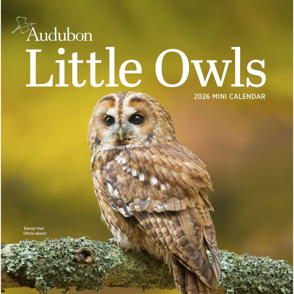 Audubon Little Owls 2026 Mini Wall Calendar Main Image