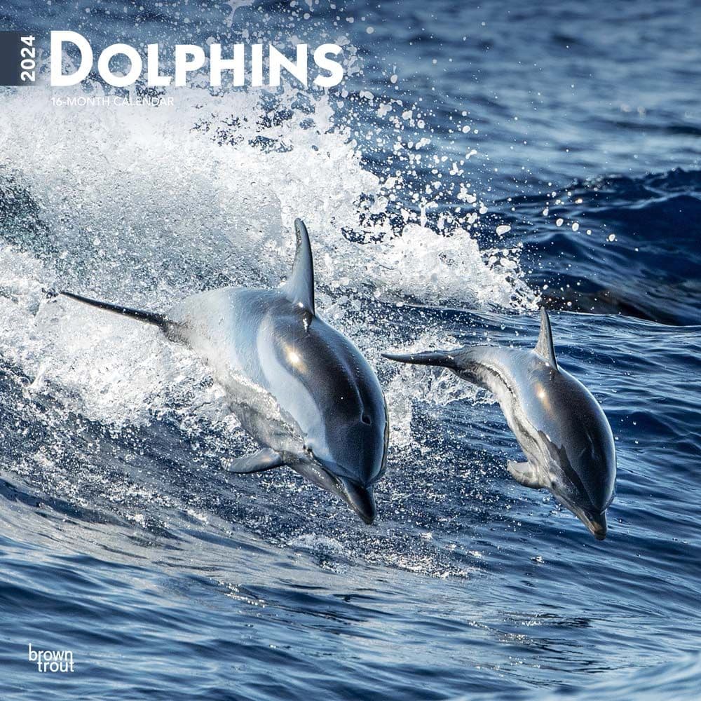 Dolphins 2024 Wall Calendar Main Product Image width=&quot;1000&quot; height=&quot;1000&quot;