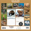 image Wildlife 2027 Wall Calendar First Alternate Image