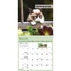 image Grumpy Cat 2025 Mini Wall Calendar Second Alternate Image width=&quot;1000&quot; height=&quot;1000&quot;