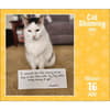image Cat Shaming 2026 Desk Calendar Third Alternate Image