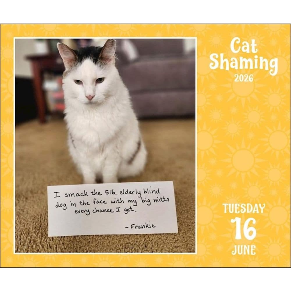 Cat Shaming 2026 Desk Calendar Third Alternate Image