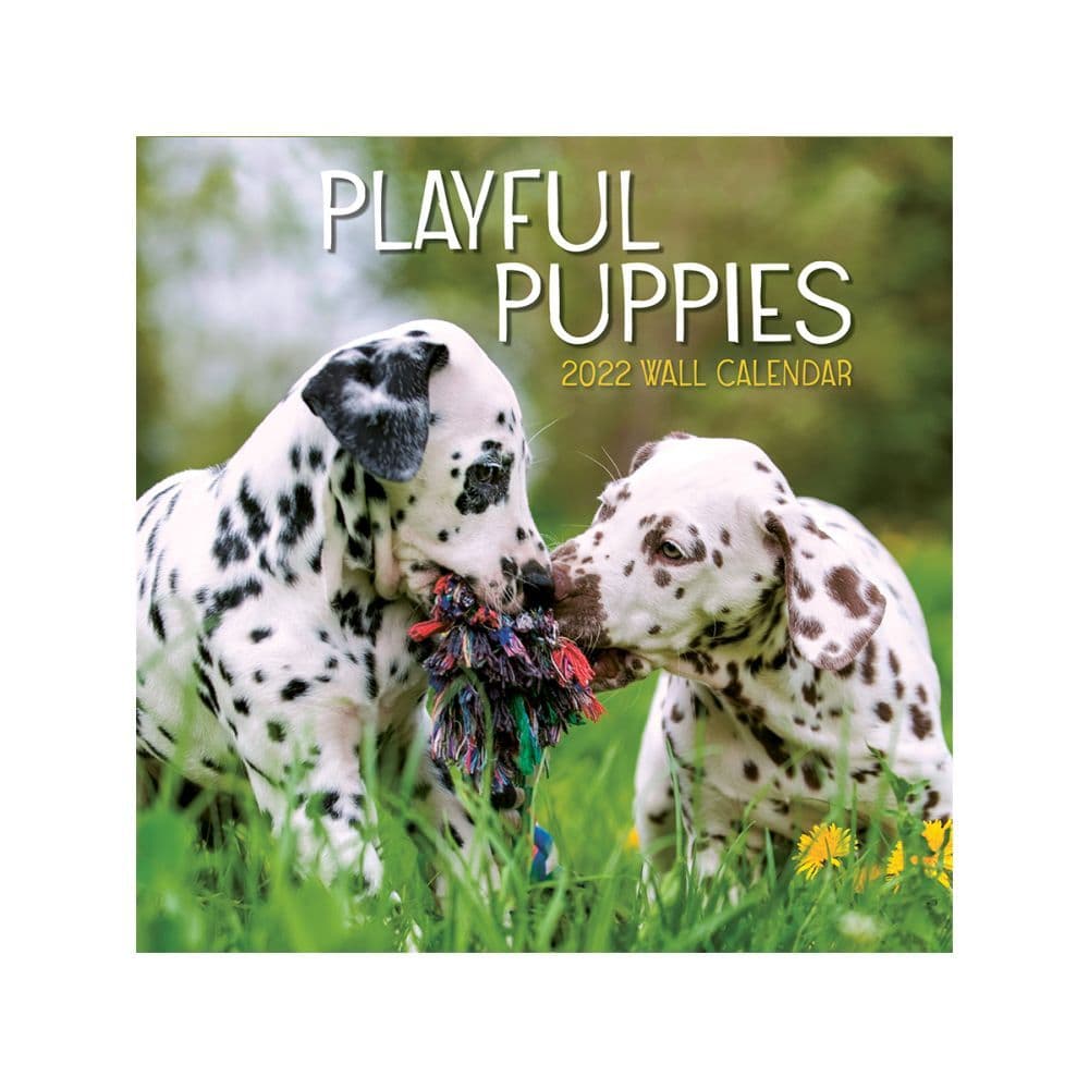 Playful Puppies 2022 Mini Wall Calendar SV